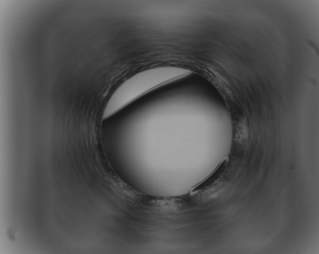 X0000092310524200709141033
