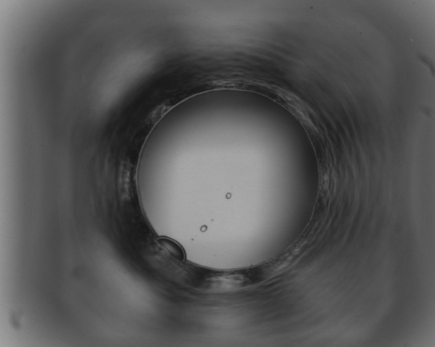 X0000092310525200709141033