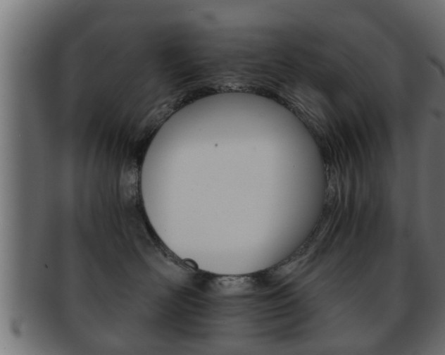 X0000092310526200709141033
