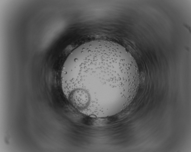 X0000092310527200709141033