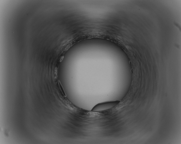 X0000092310528200709141033