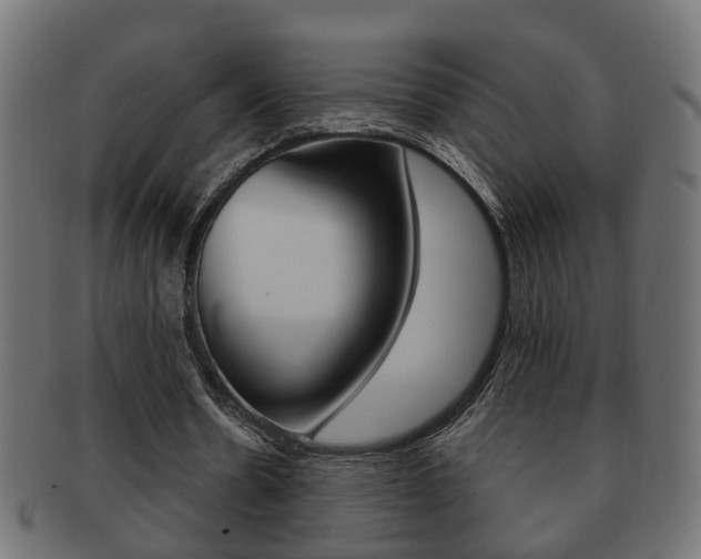 X0000092310530200709141033