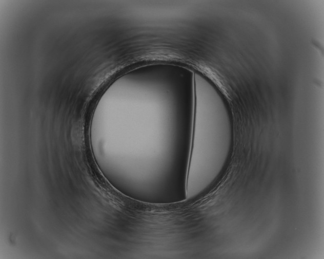 X0000092310531200709141033