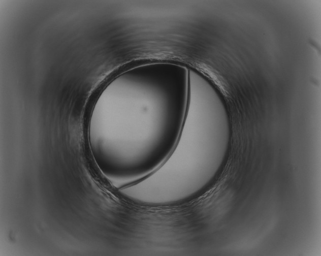 X0000092310532200709141033