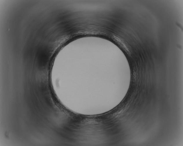 X0000092310534200709141033