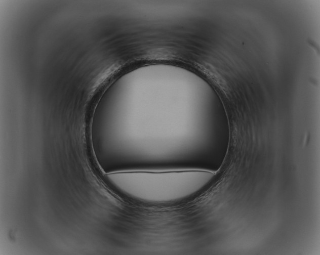 X0000092310535200709141033