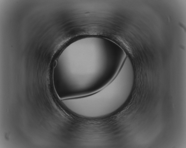 X0000092310536200709141033