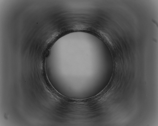 X0000092310539200709141033