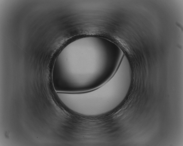 X0000092310540200709141033