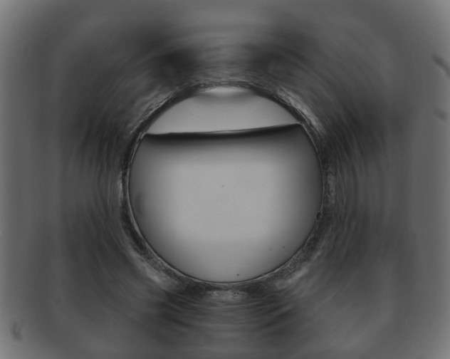 X0000092310541200709141033