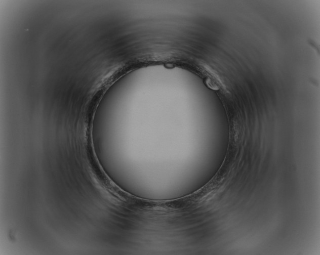 X0000092310542200709141033