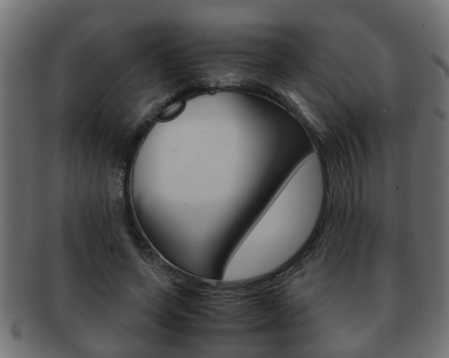 X0000092310543200709141033