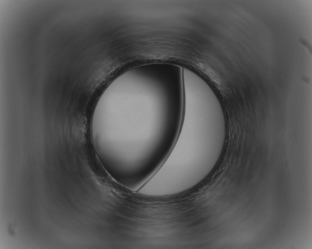 X0000092310544200709141033