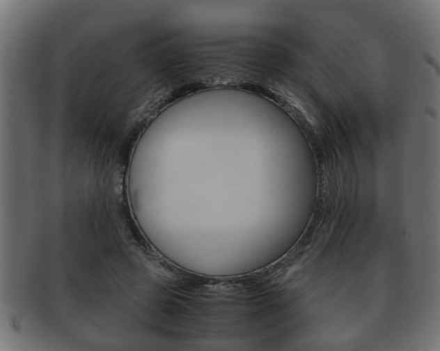 X0000092310545200709141033