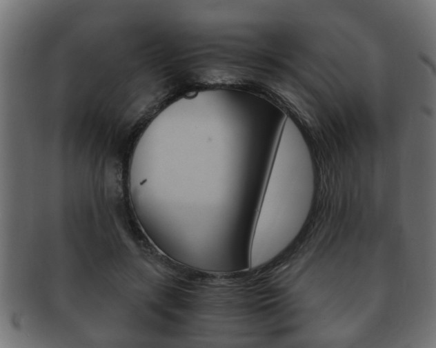 X0000092310547200709141033