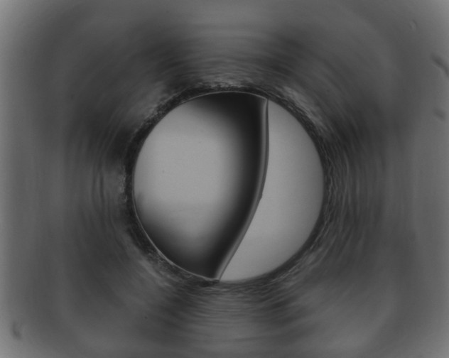 X0000092310548200709141033