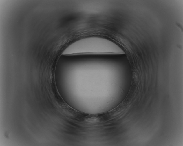 X0000092310551200709141033