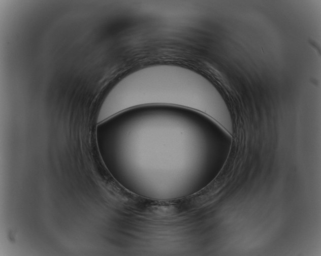 X0000092310552200709141033