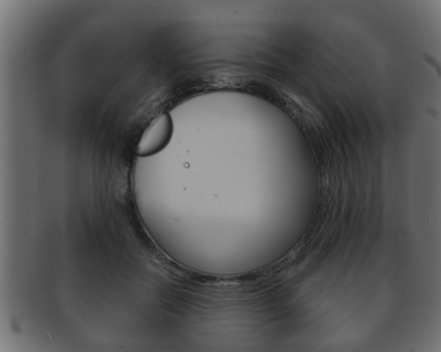 X0000092310554200709141033