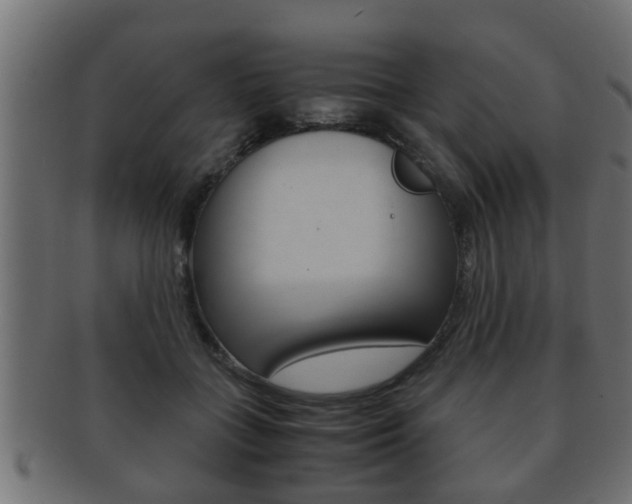 X0000092310555200709141033