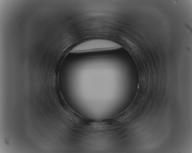 X0000092310556200709141033