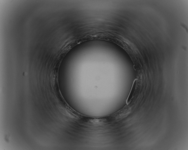X0000092310558200709141033