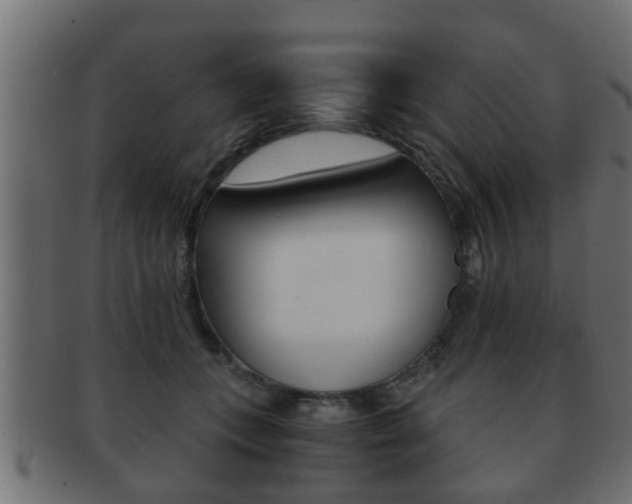 X0000092310559200709141033