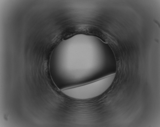 X0000092310560200709141033