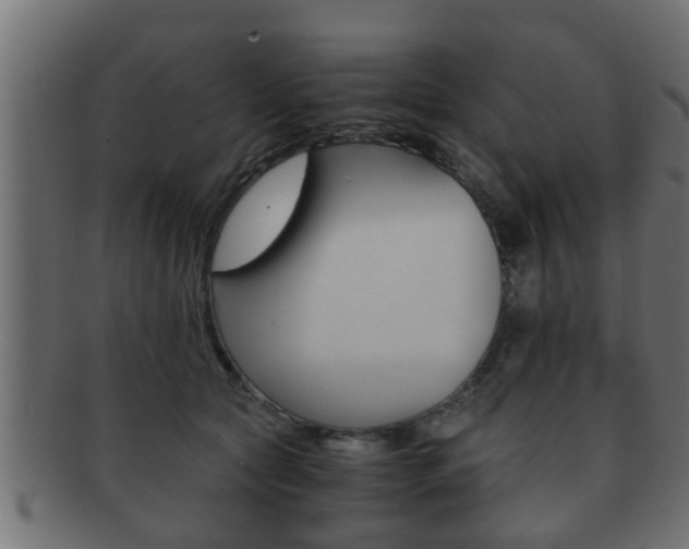 X0000092310561200709141033