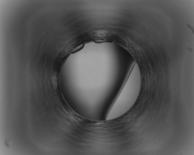 X0000092310562200709141033