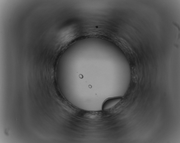 X0000092310563200709141033