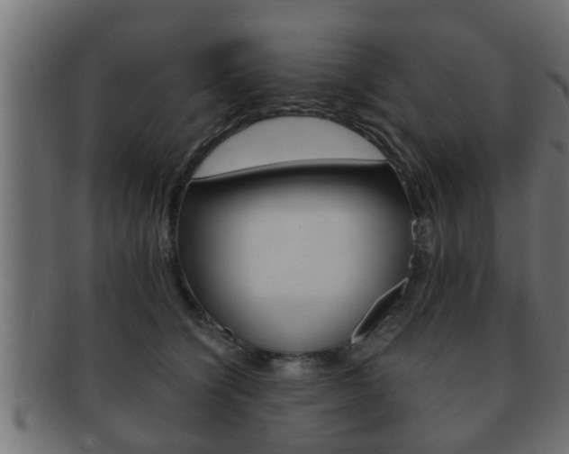 X0000092310564200709141033
