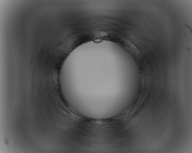 X0000092310565200709141033