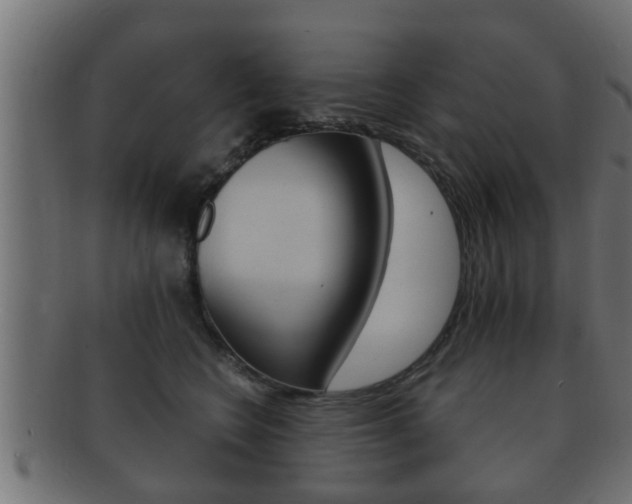 X0000092310566200709141033