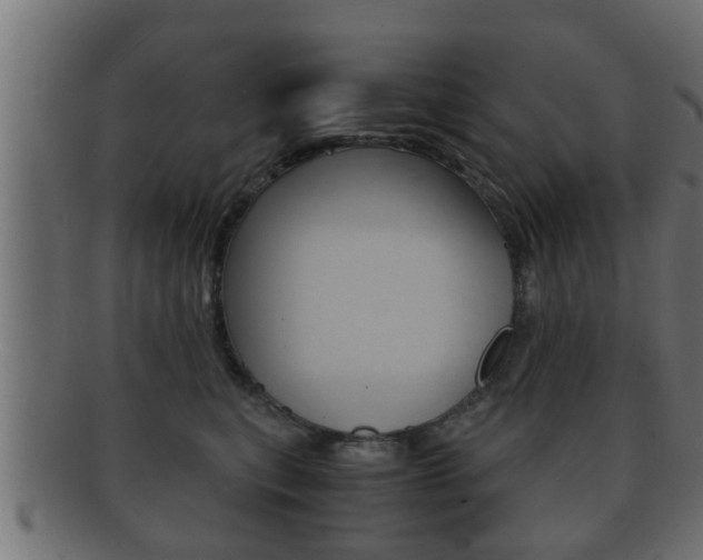 X0000092310567200709141033