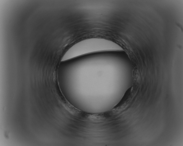 X0000092310568200709141033