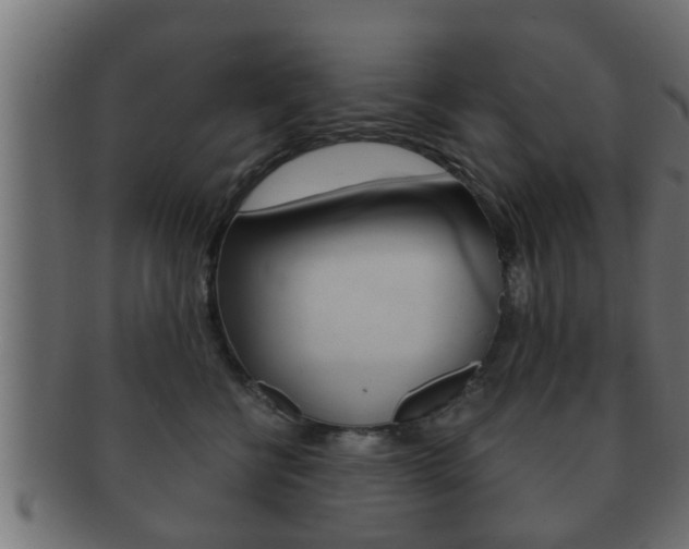 X0000092310570200709141033