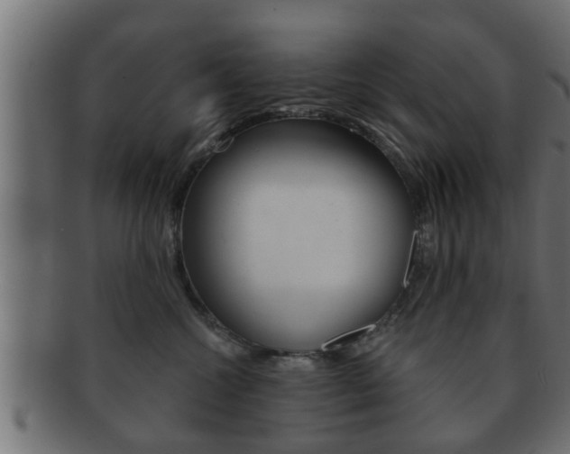 X0000092310572200709141033