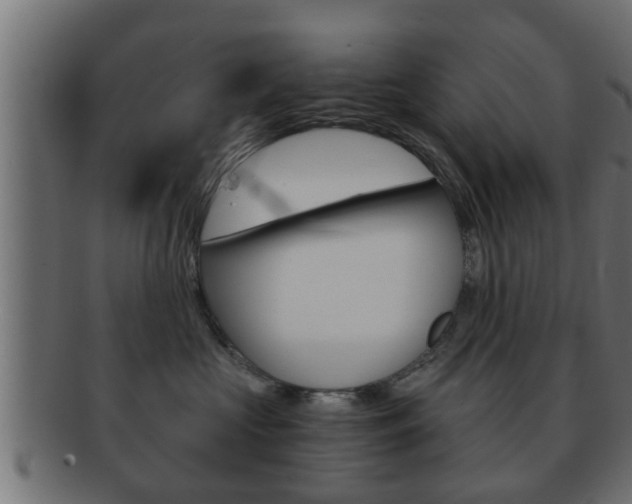 X0000092310573200709141033