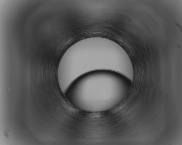 X0000092310574200709141033