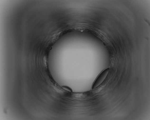 X0000092310575200709141033