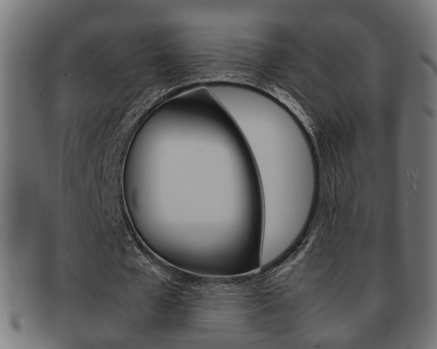 X0000092310577200709141033