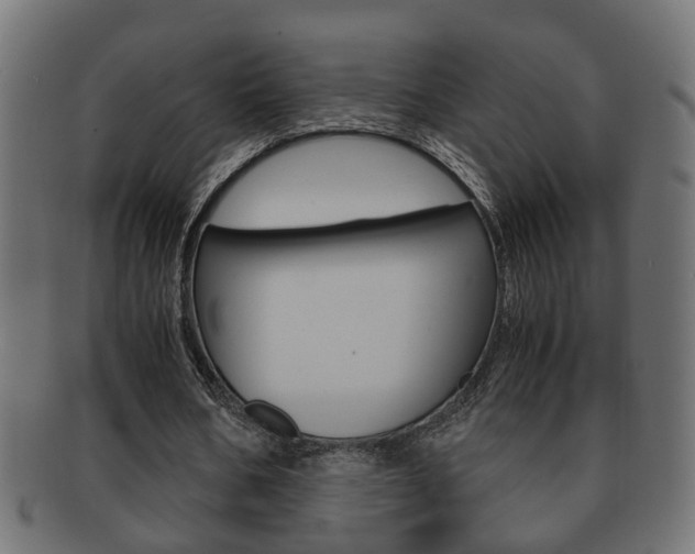 X0000092310578200709141033