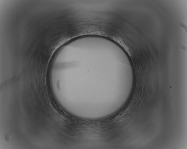 X0000092310579200709141033