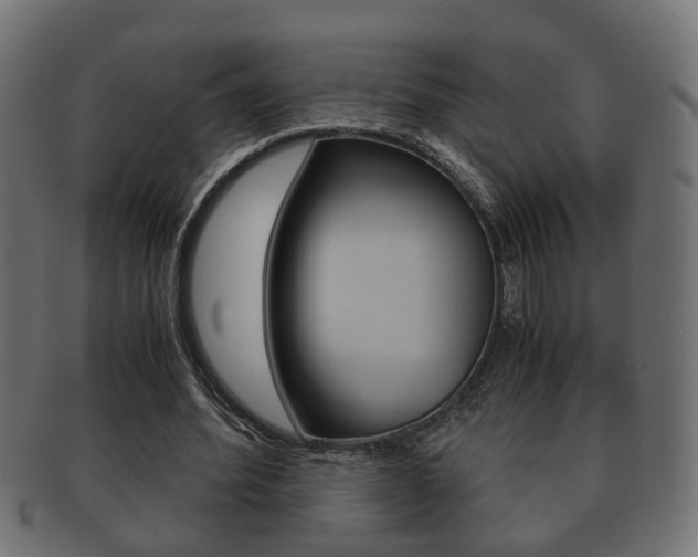 X0000092310580200709141033