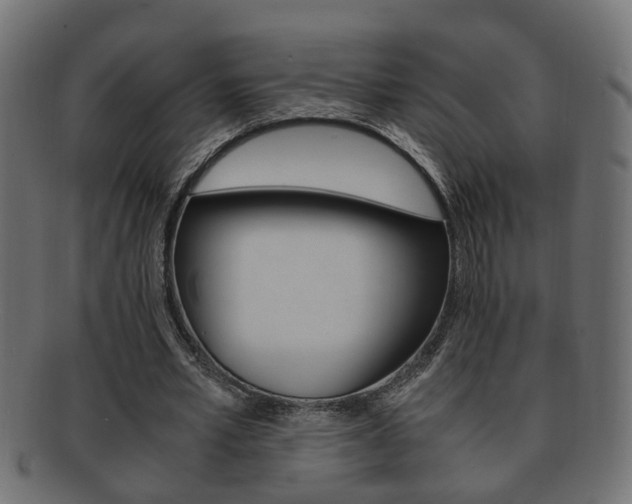 X0000092310581200709141033