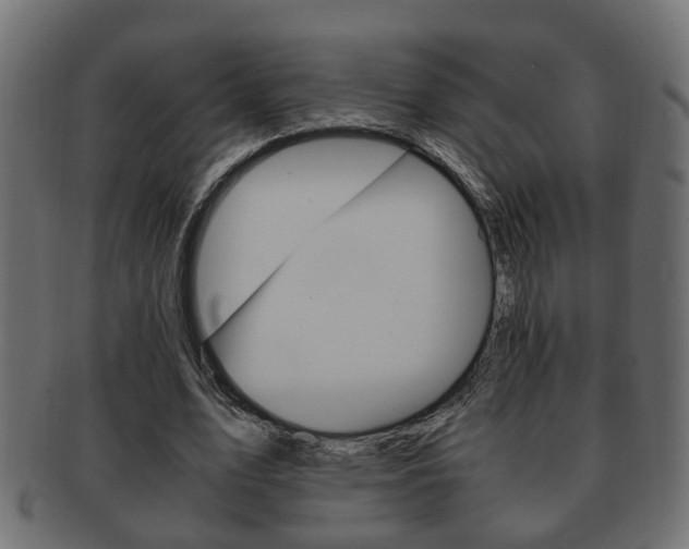 X0000092310583200709141033