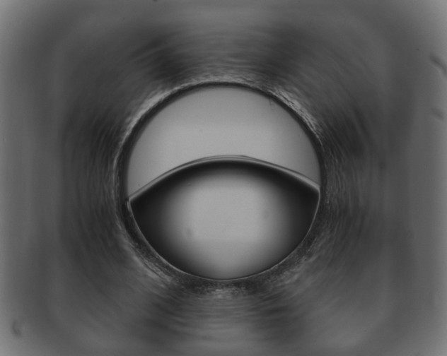 X0000092310584200709141033