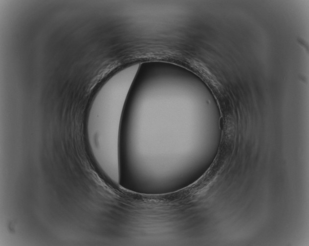 X0000092310585200709141033