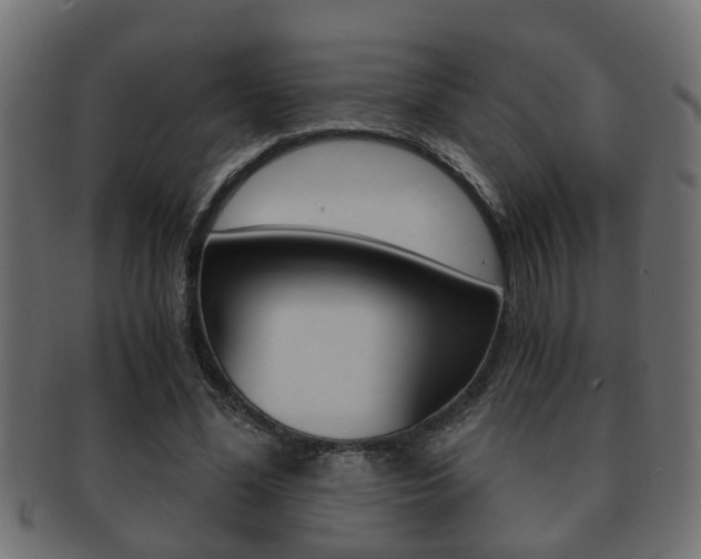 X0000092310588200709141033
